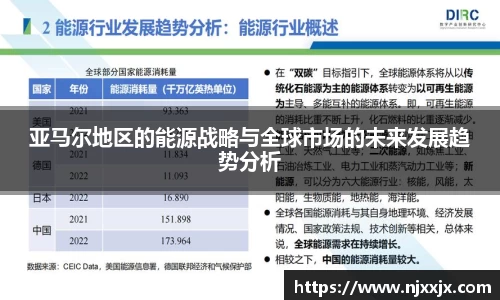 亚马尔地区的能源战略与全球市场的未来发展趋势分析